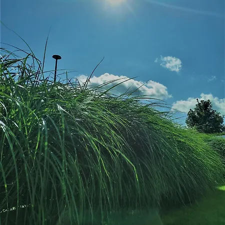 Zagroda Wrzosowa Дембки