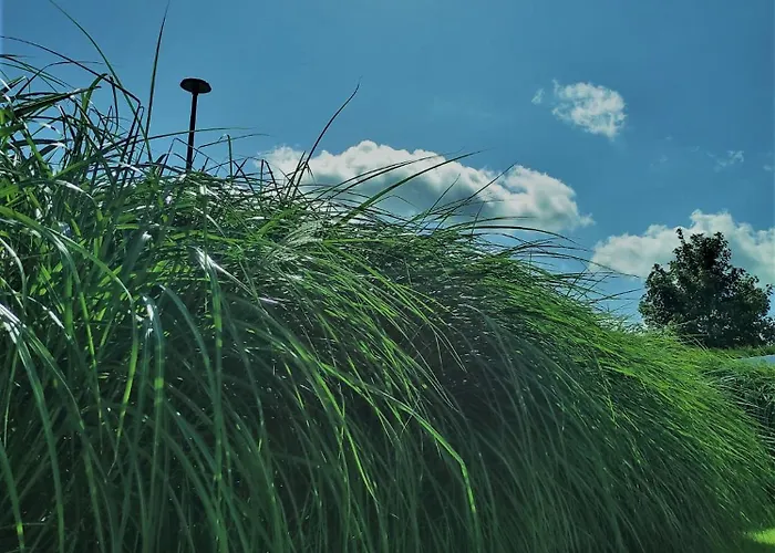 Zagroda Wrzosowa Debki